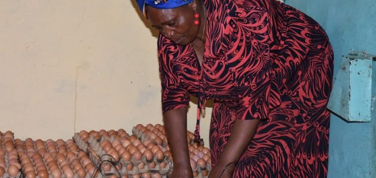 Farmers count losses as cartels flood market with cheap eggs