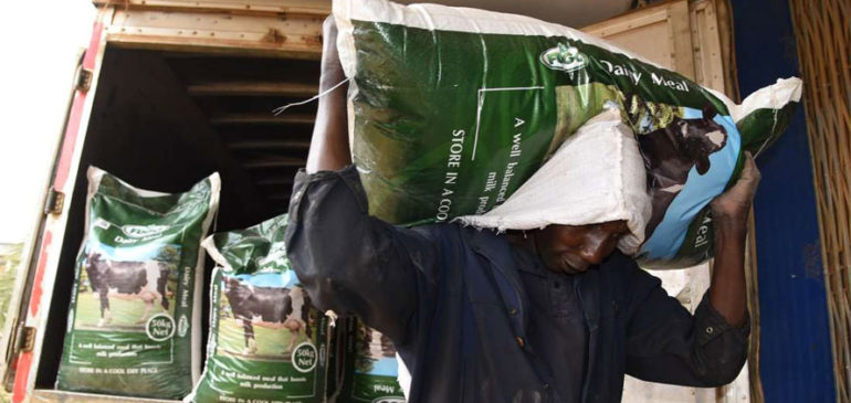 Livestock feeds price to rise as UG maize price up
